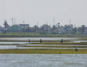 Residents wade out to go fishing in the marshes of Galveston Bay.