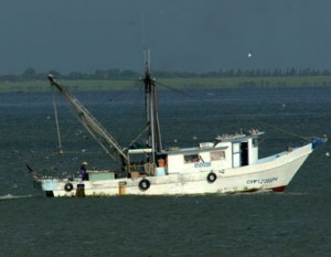 A commercial fishing boat catches seafood on Galveston Bay.