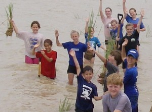 Local residents participate in a Galveston Bay marsh planting.