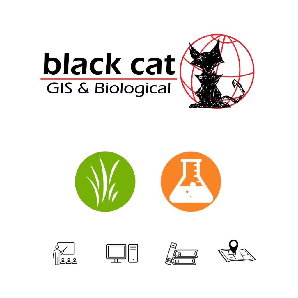 Black Cat GIS and Biological LLC is a small, woman owned business that specializes in spatial statistical analysis, custom Geographic Information Systems (GIS) data creation and biological field services.