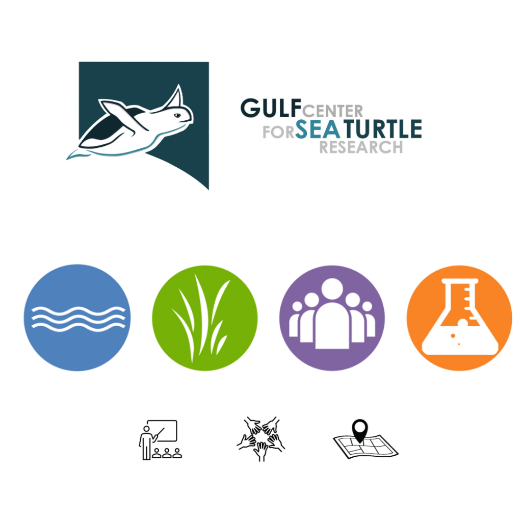 The mission of the Gulf Center for Sea Turtle Research is to facilitate research activities on sea turtles at all organizational levels, from molecular to population and ecosystem levels, that will ultimately result in restoration of sea turtle populations and the protection vital sea turtle habitats.