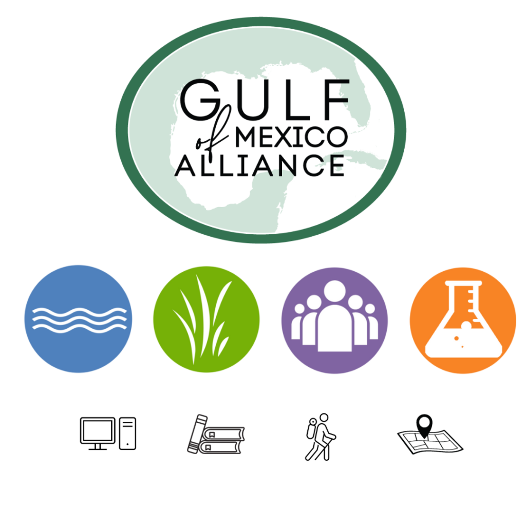 Since 2004, the five Gulf states have been the foundation of the Gulf of Mexico Alliance, a partnership network dedicated to working on issues common to the Gulf region. The overarching goals of the Alliance continue to be: providing forums for collaboration, developing and modifying tools to address regional issues, enabling strategic partnerships, and tracking restoration efforts